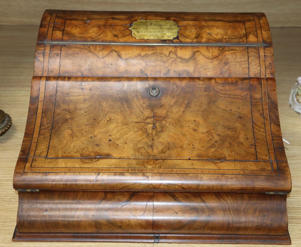 A Victorian burr walnut lap desk, width 43cm